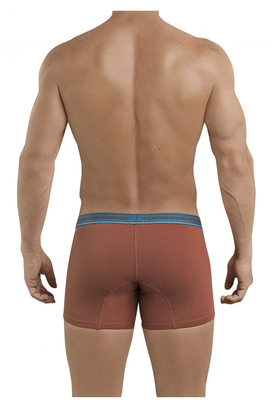 Clever 2394 Attractive Boxer Briefs Brown