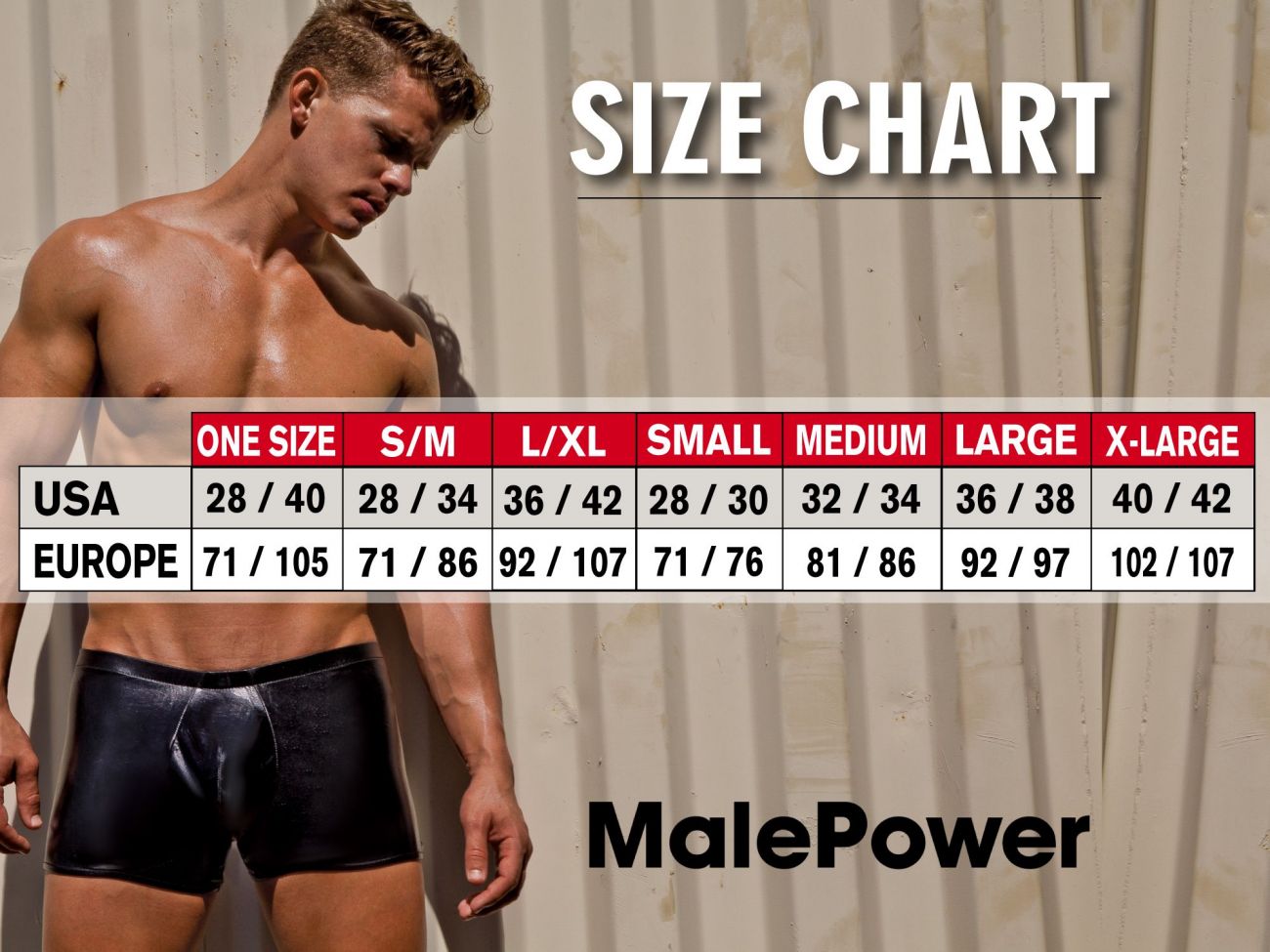 Male Power 591-266 Leather Gemini Harness