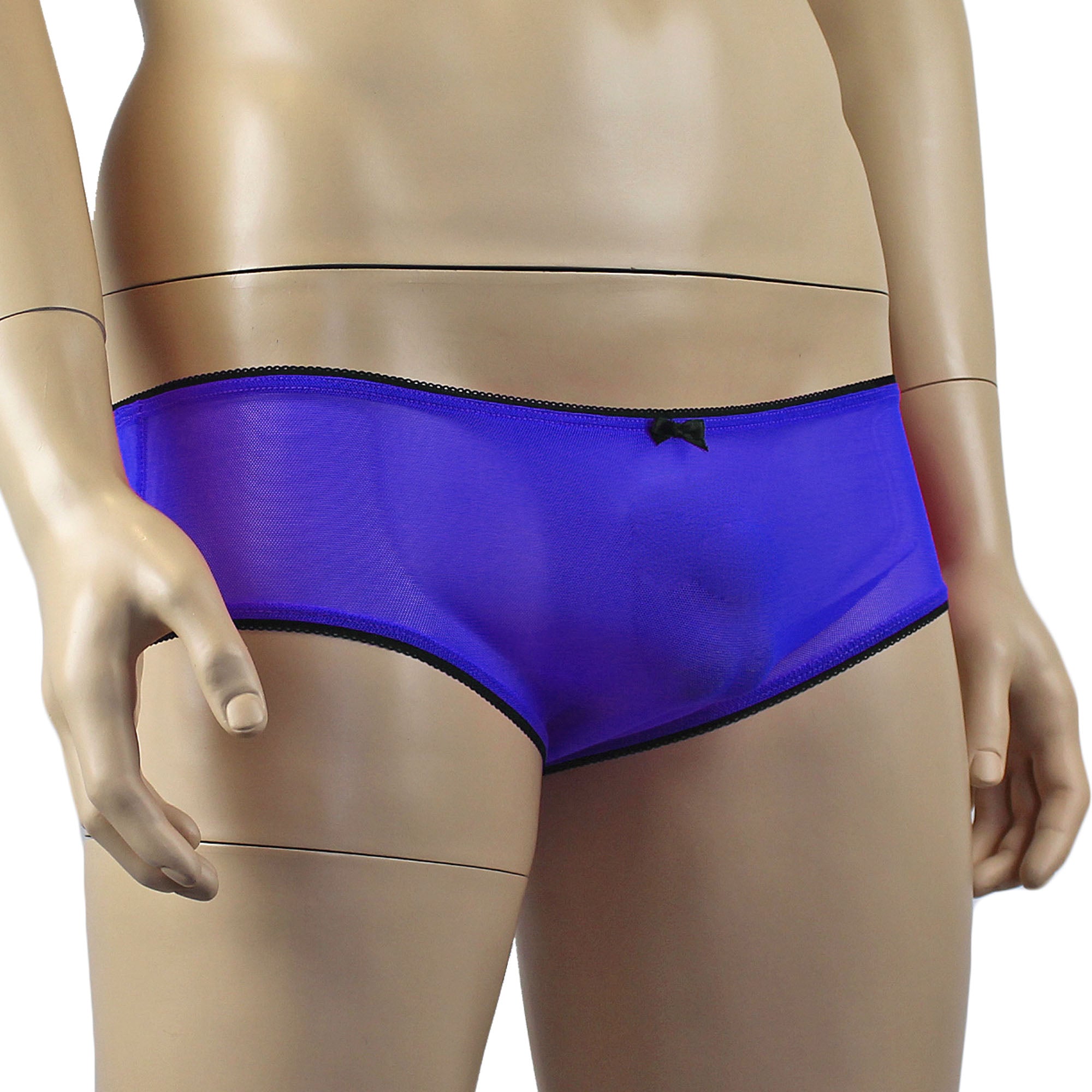 Mens Sheer Mesh Panty with Black Pico Elastic (blue plus other colours)