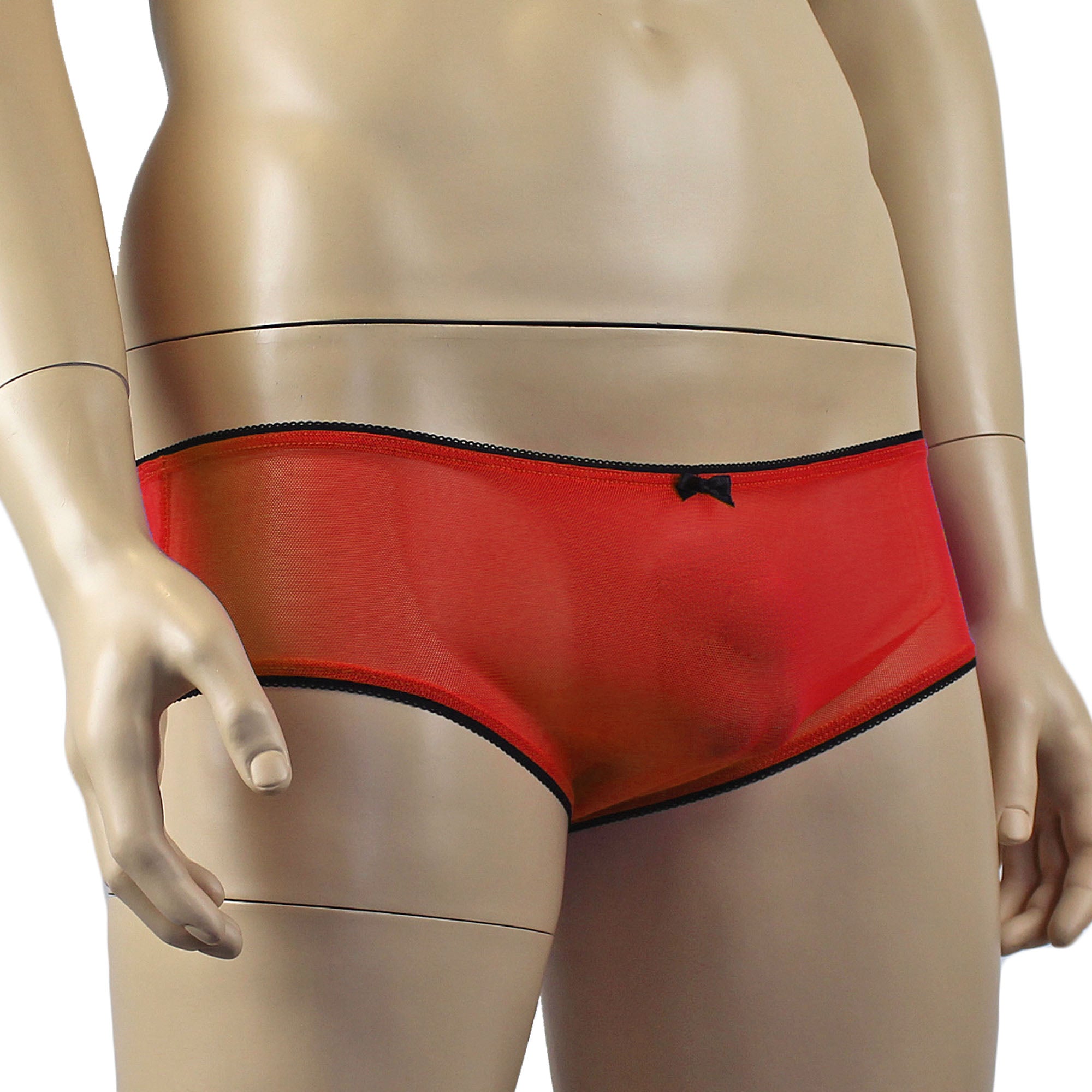 Mens Sheer Mesh Panty with Black Pico Elastic (red plus other colours)