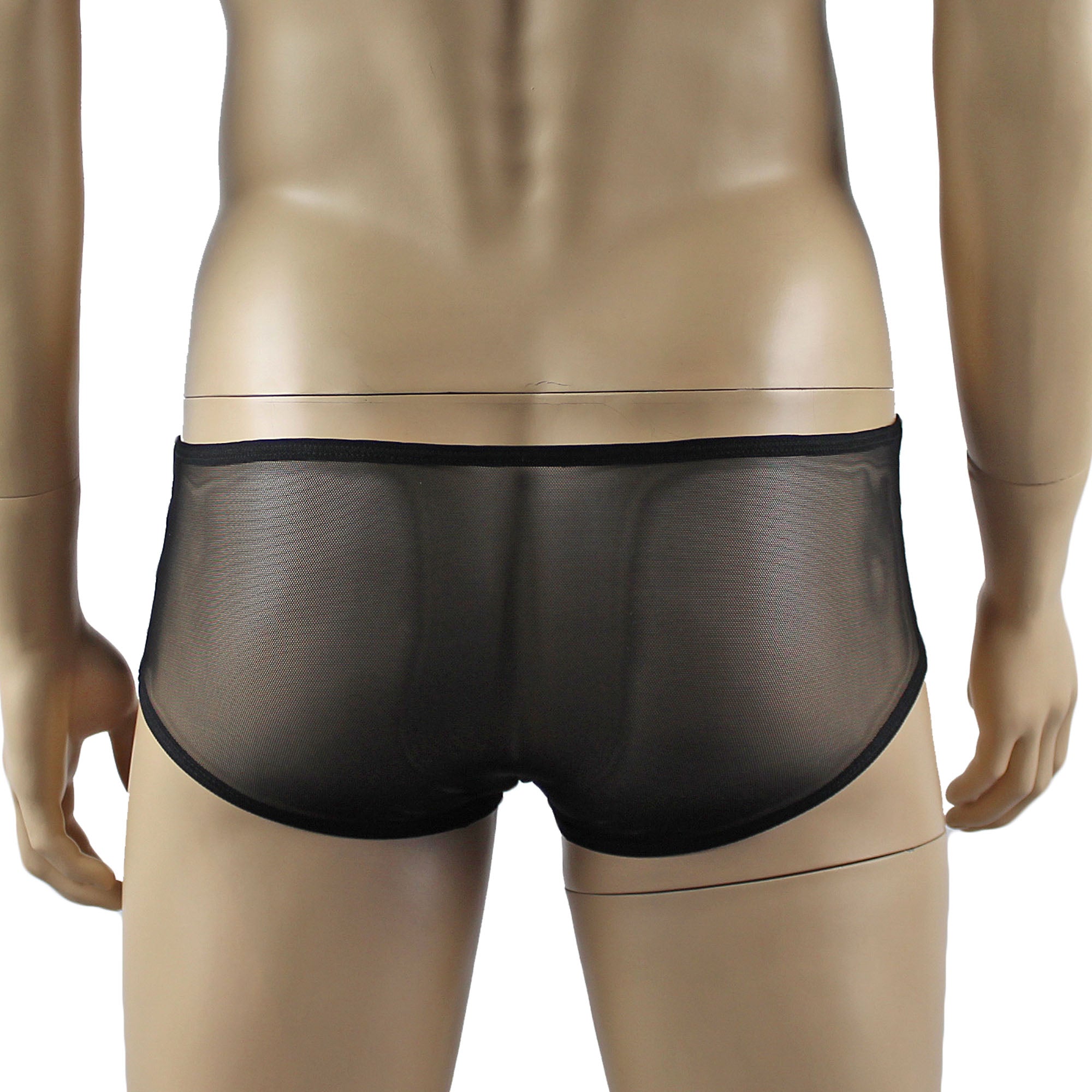 Mens Kristy Lingerie Sexy Lace and Mesh Panty Brief Black